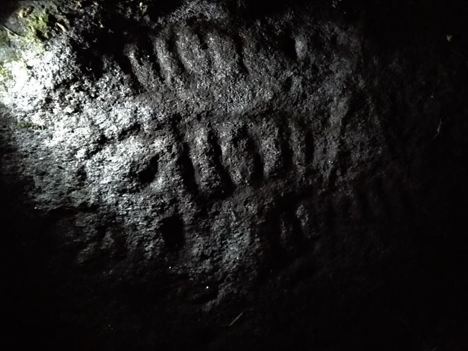 Novos petroglifos atopados nas Forcadas-Corme por Suso Lista 2
