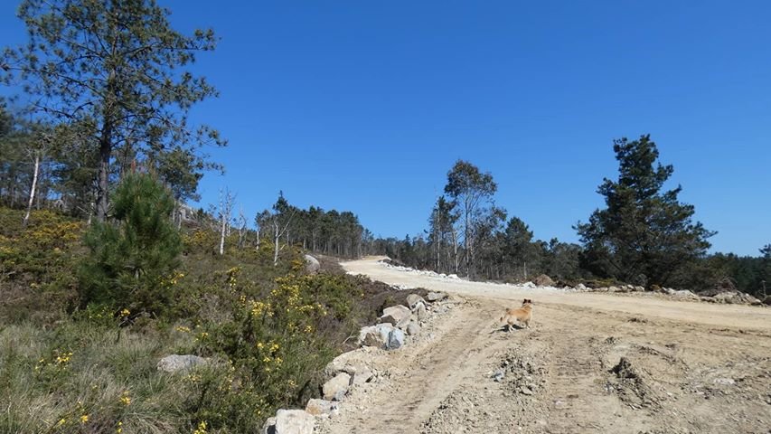 Obras do Parque Eolico de Mourinos-Cabana 6