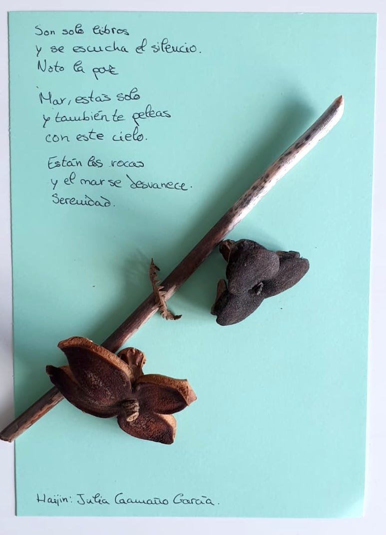 Haiku de Julia Caamano Garcia