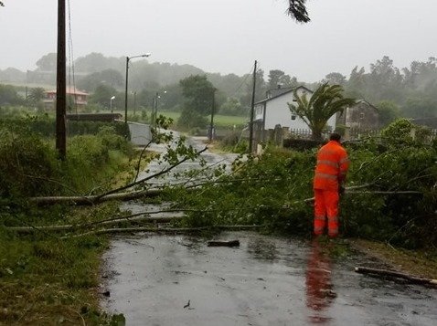 Borrasca Miguel-Arbores caidas en Santa Comba