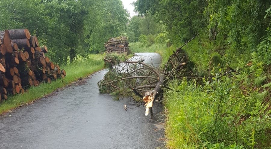 Borrasca Miguel-Arbore caida en Mazaricos