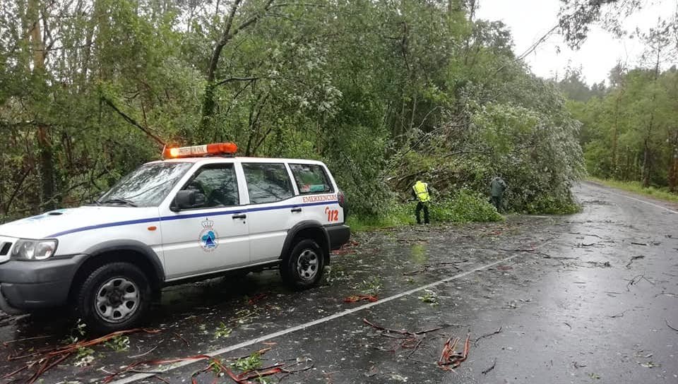 Borrasca Miguel-Arbores caidas en Muxia