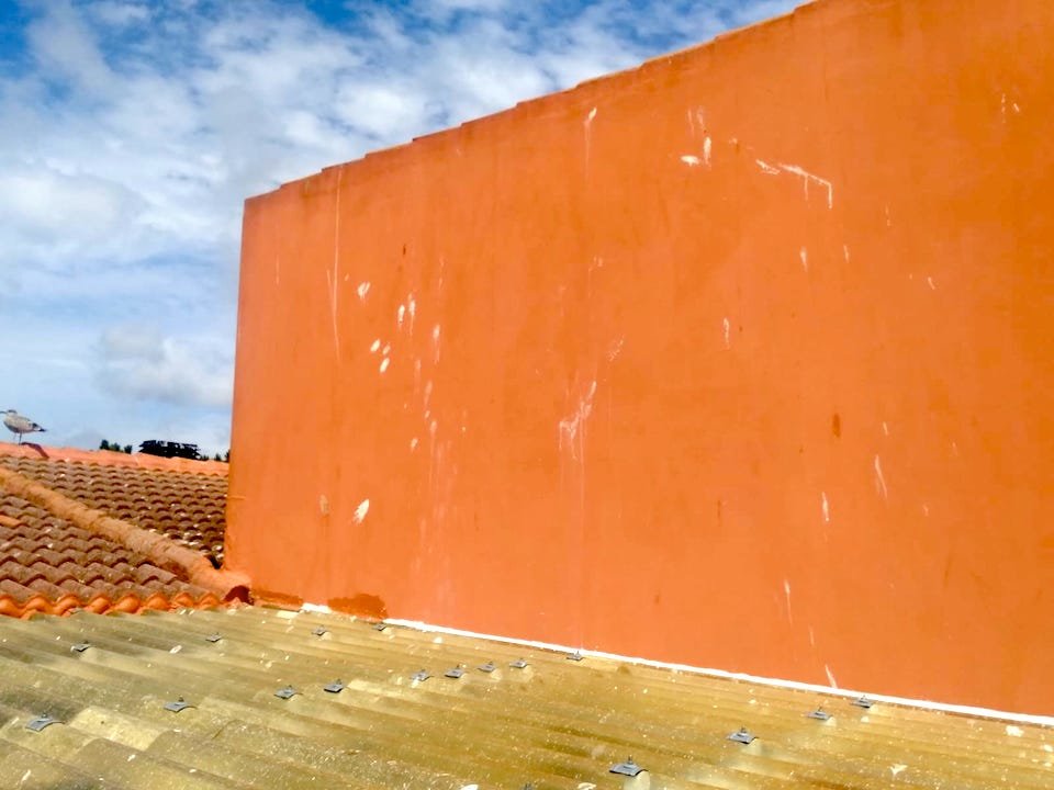 Defecacions de gaivotas nunha fachada de Camarinas