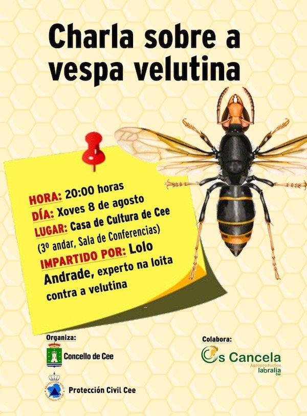 Charla sobre Avespa Velutina en Cee