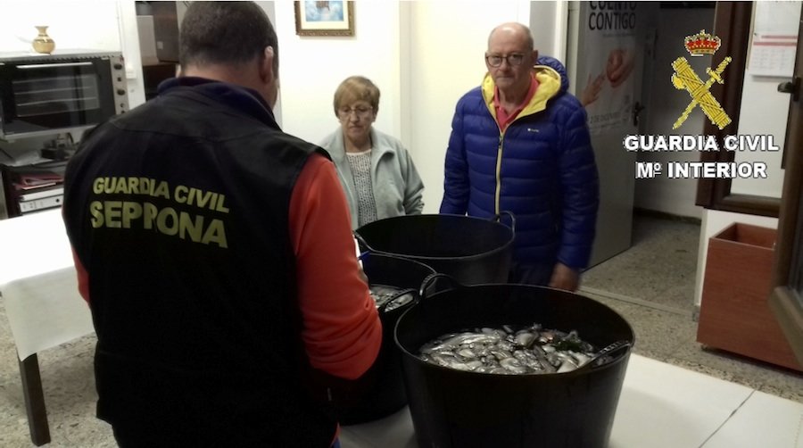 Entrega pulpo Caritas copia