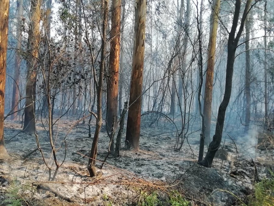 Situacion do incendio en Mallas-Foto_Rafa Quintans 2 copia