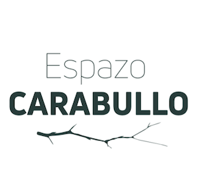 Logo espazo carabullo