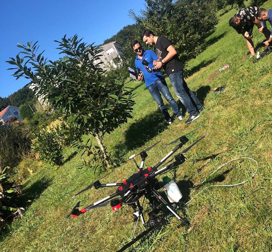 Eliminando nidos de avispa velituna con dron-Galidronica