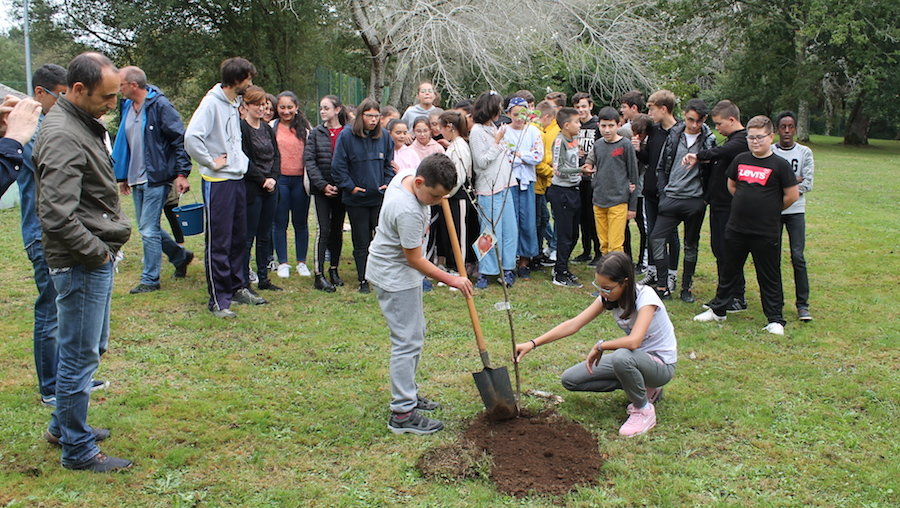 Prantando arbores Accions no IES de Baio contra a crise Climatica