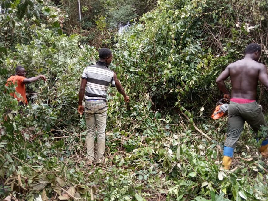 Mozos de egueire Desbrozando a machete en Costa de Marfil