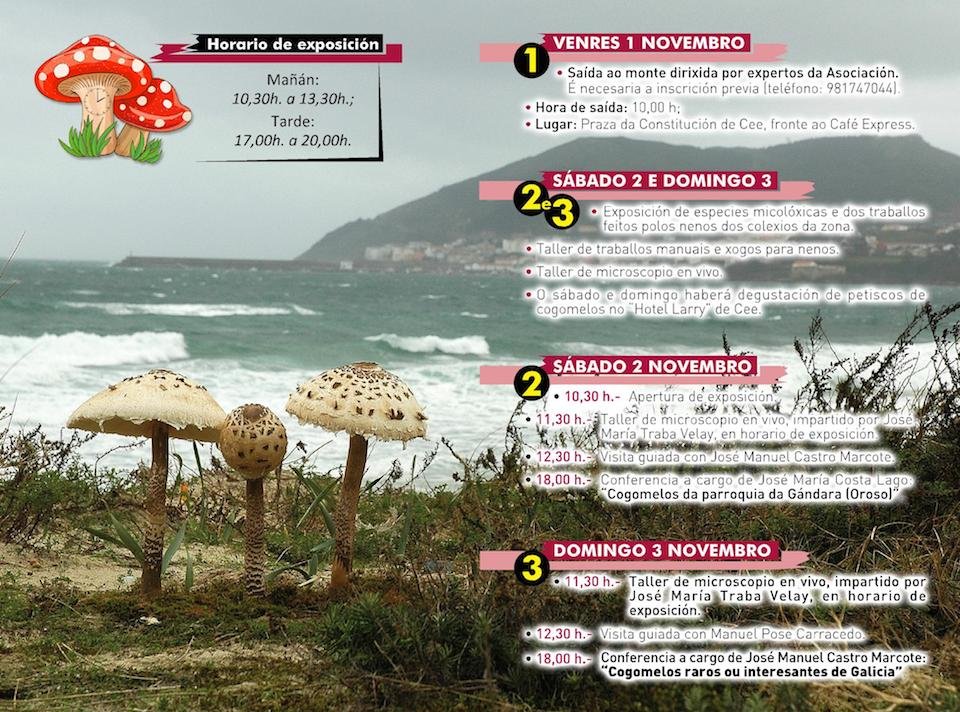 Xornadas MIcoloxicas Cee 2019 2