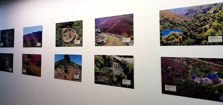 Exposicion apicola de AGA