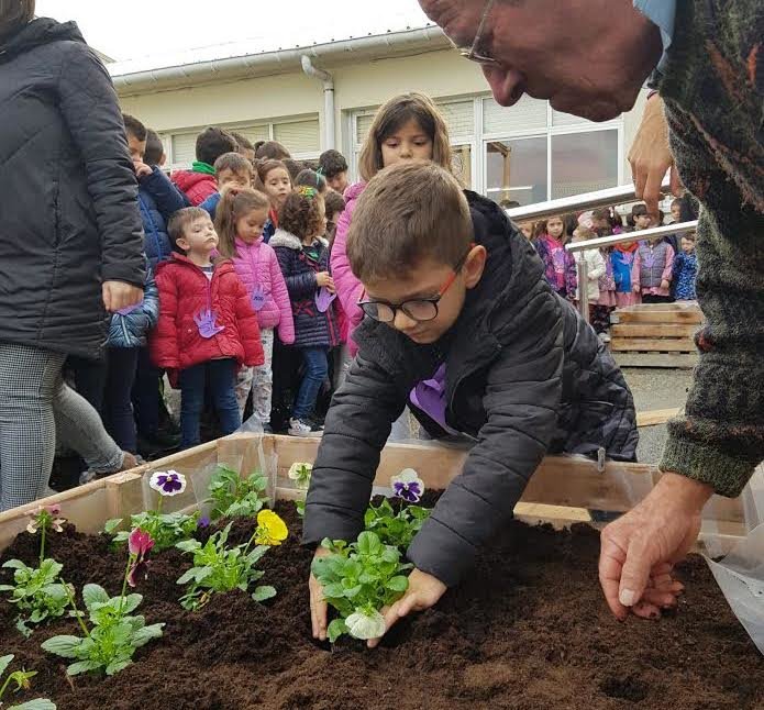 Prantando flores polas vitimas de violencia de xenero