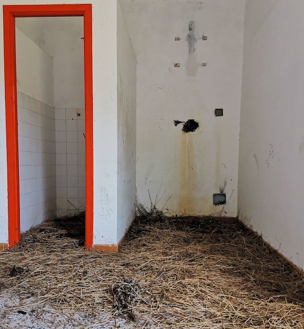 Os vestiarios do campo da Grela usanse de caudras