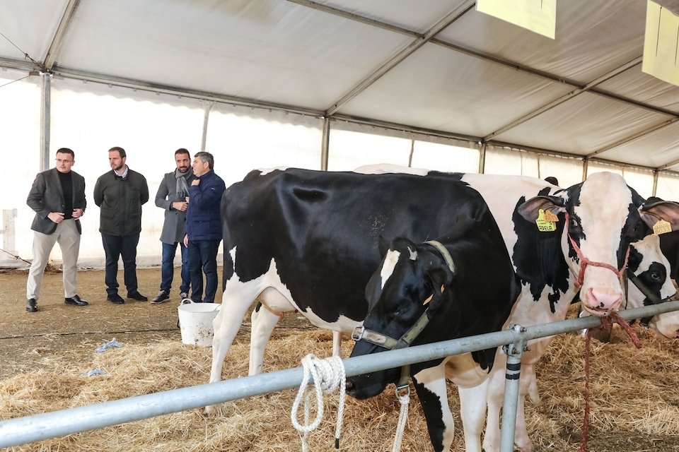 Autoridades na poxa de Mazaricos