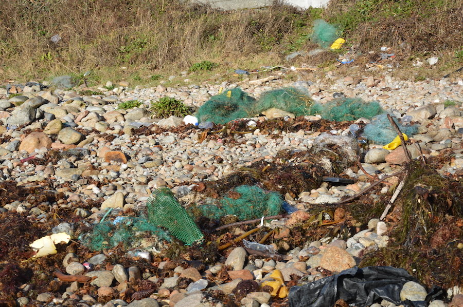 Antes da limpeza de Mar de Fabula