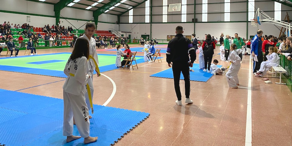 Festa do Taekwondo en Cee