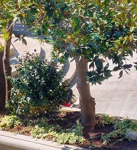 Tomando o sol en Vimianzo