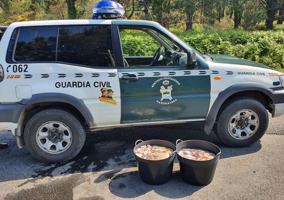 Polbo incautado en Lira pola Garda Civil