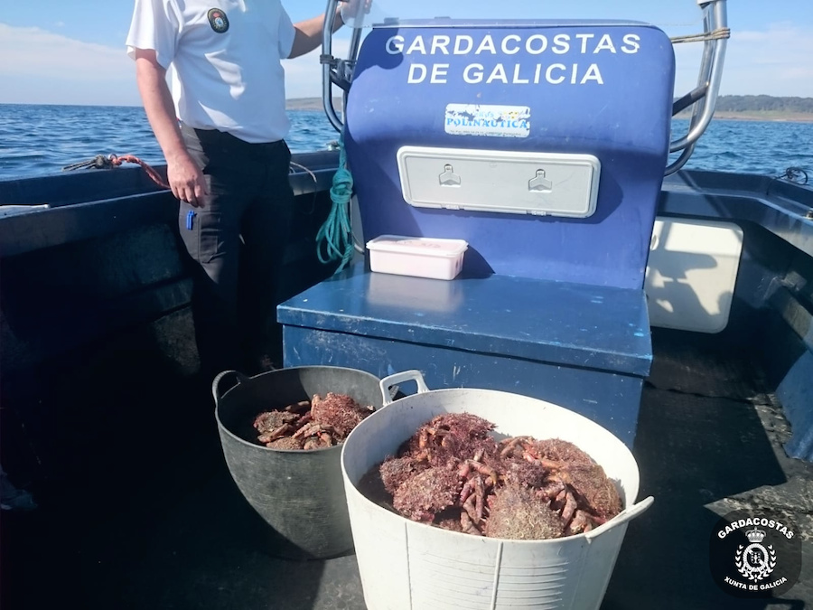 20200523 comiso centola tourinan