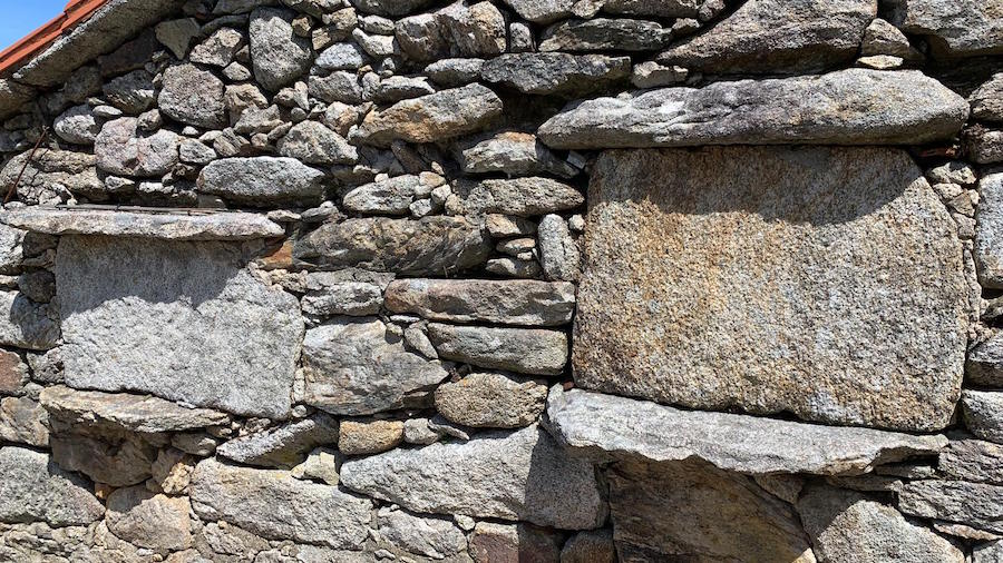 DÚAS LACENAS DE ABELLAS, na cabana, a carón da Eira de Farruquino de Boallo-Berdoias-Vimianzo