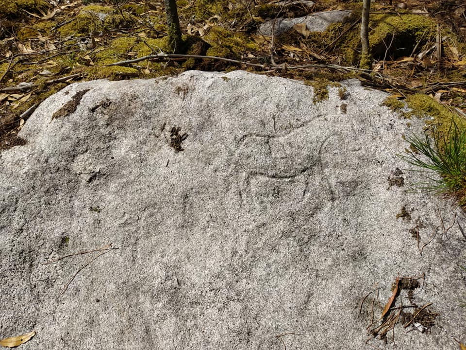 O gravado do burro do Roncudo pode datar do seculo XIX