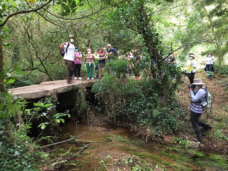 Ruta do Vieiro Fidalgo 2