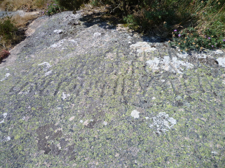 Grabados en Peñafiel noMonte Pindo