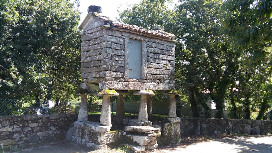 Pequeno cabazo en Boallo, do tipo Arco Fisterrán, variedade soneira copia