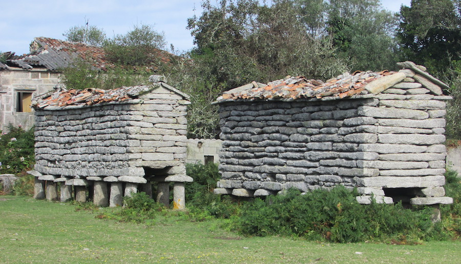 Vellos cabazos en Boallo, do tipo Arco Fisterrán, e da variedade  soneira- rústica