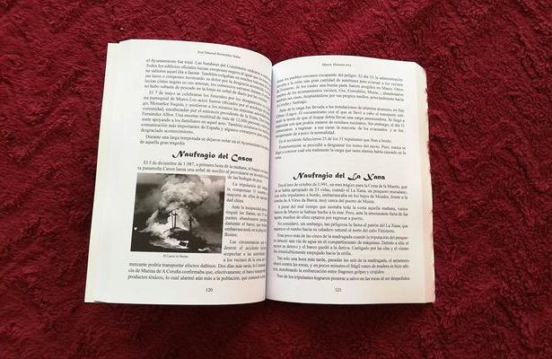 Libro de Jose Manuel Bermudez sobre Muros 2