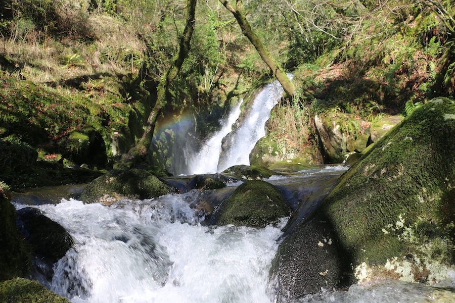 Fervenzas de LOCAIA de Mazaricos