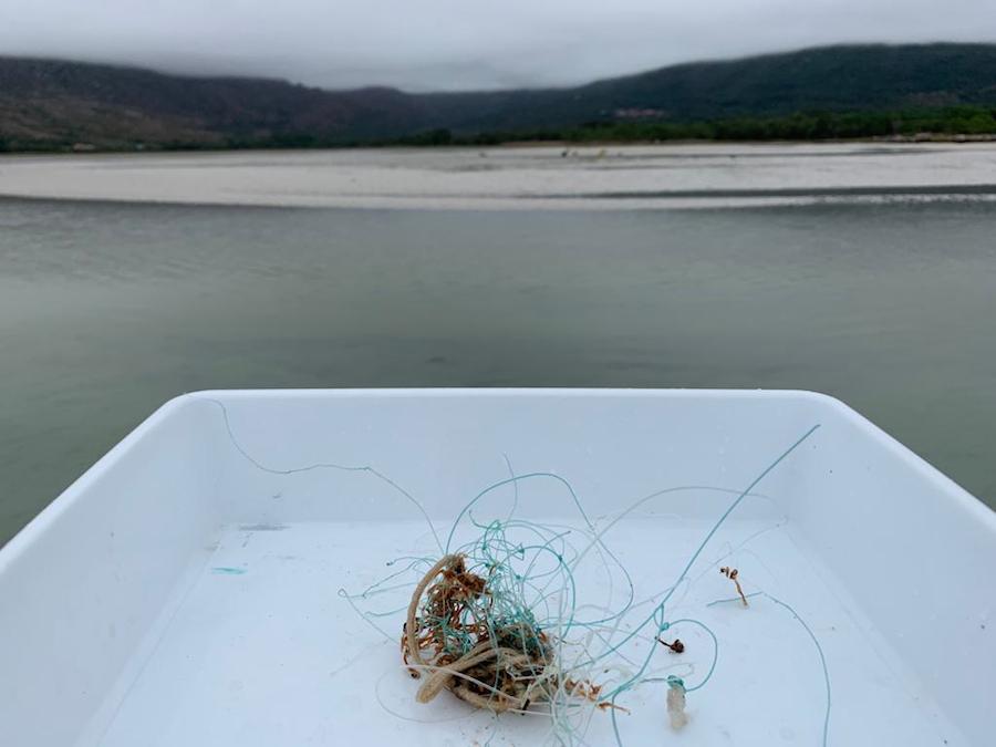 Recollendo lixo marino na Berberecheira-Foto-ADEGA
