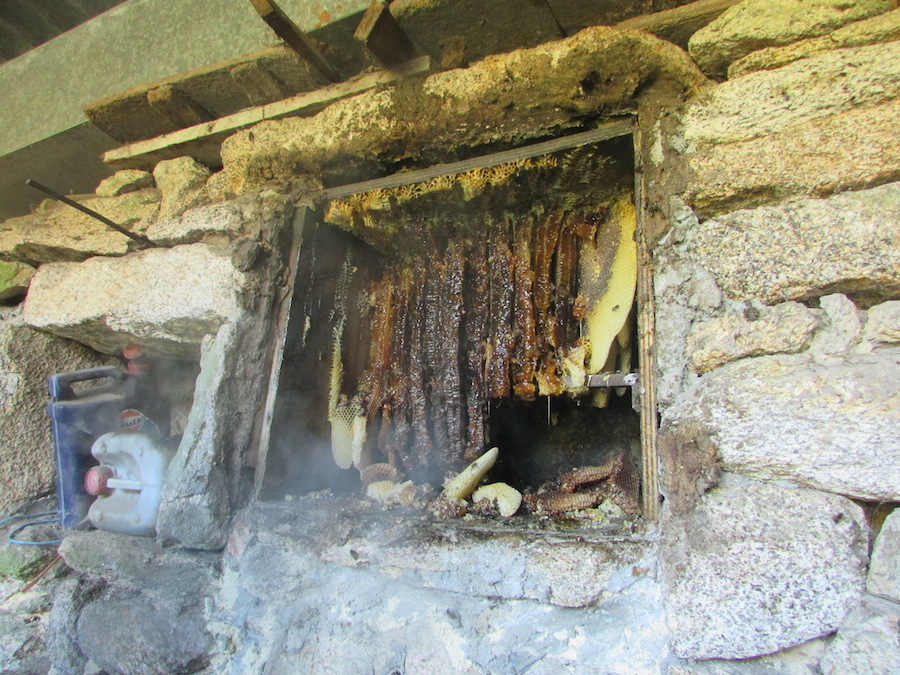 Parte dos panais que se deixan na lacena  para alimentación das abellas