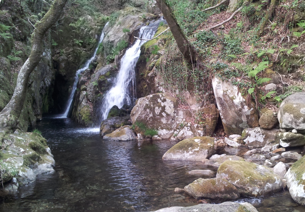 Fervenza de Santa Locaia 2