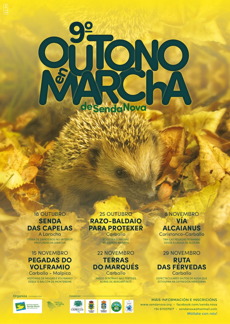 Outono en Marcha de Senda Nova 2020