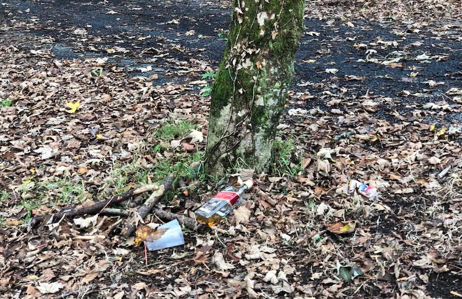 Fotodesfeita-Botellon en Monte Toran 2