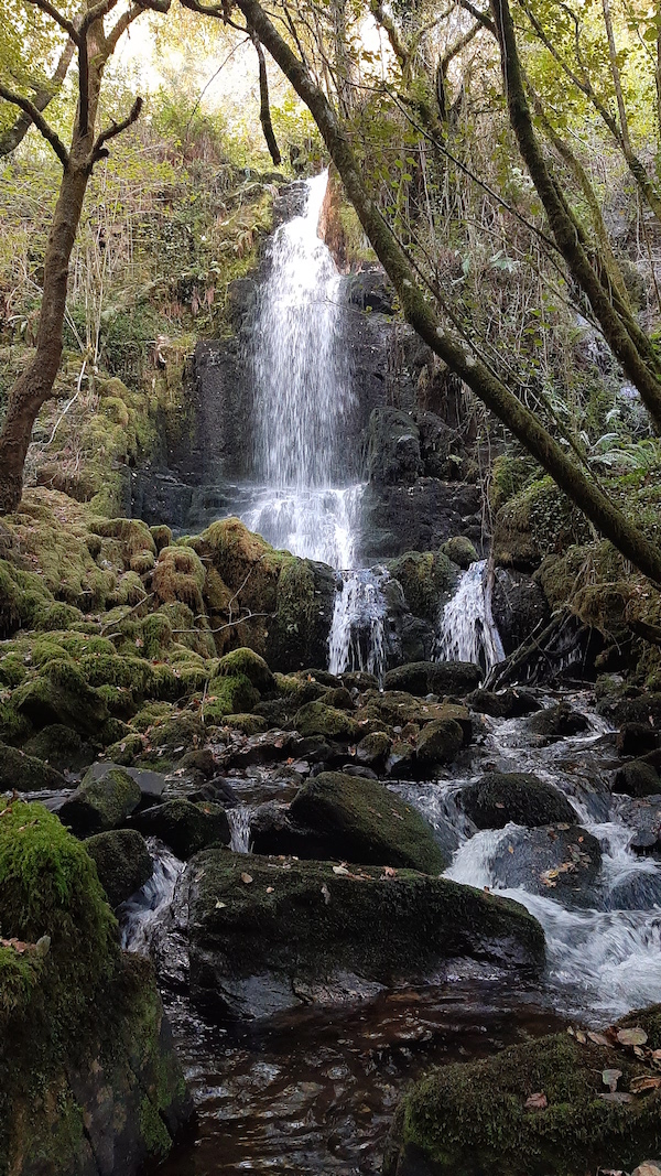Fervenza de Grosolfe