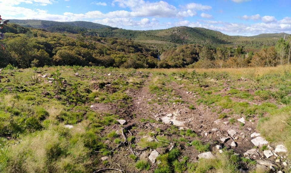 Desfeita na Devesa dos Anllares