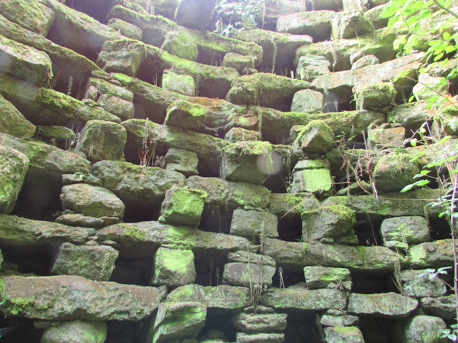 Interior, nichos do pombal de Boallo copia