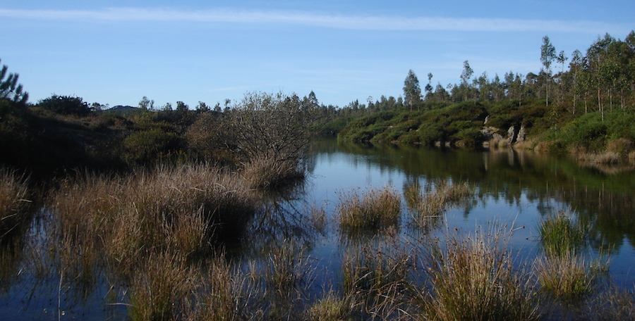 Lagoa formada nas antigas balsas de Cavisa en Ogas
