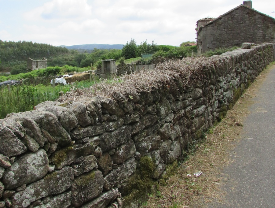 Camiño en Berdoias cara a casa de Alonso Lema
