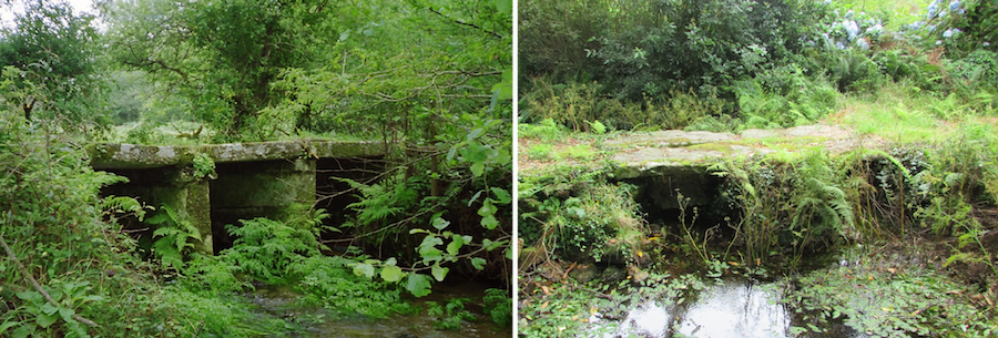 11 Pontella das Carreixas e pontella do Va Fondelo copia