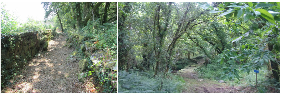 Tramos de camiño de Berdoias – Boallo