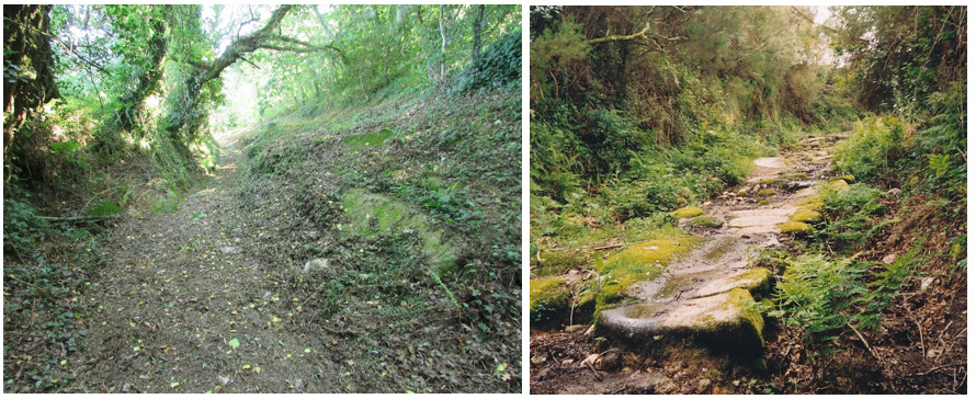 Camiño das Carreixas en Berdoias