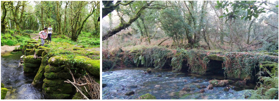 Ponte do Va Pedroso, augas arriba Ponte do Va Pedroso, augas abaixo