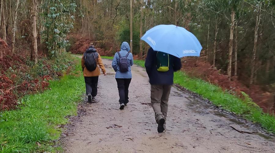 Outono en marcha con Senda nOva