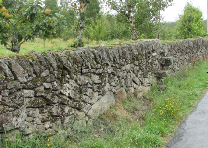 Muro con pousadoiro, na Pedra do Frade copia