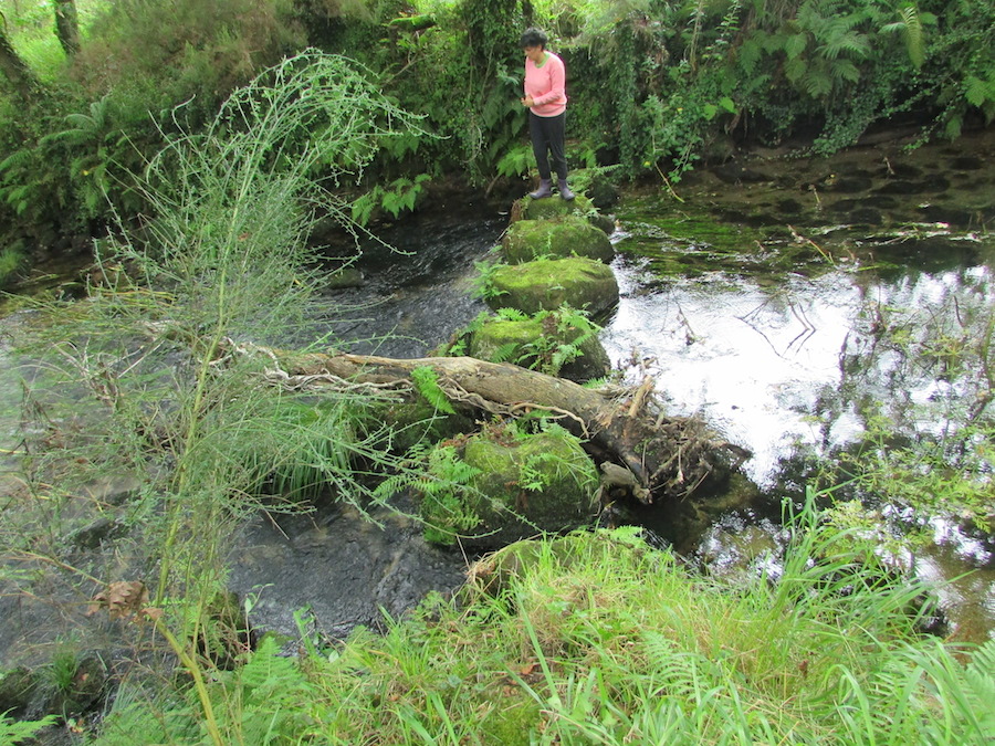 Poxados no río Castro, por Boallo