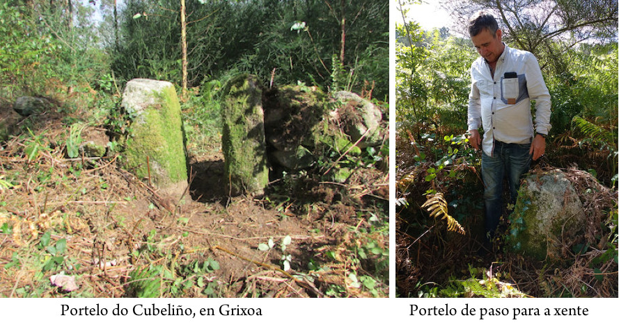 Berdoias Porteño do Cubelino